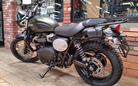 TRIUMPH SCRAMBLER 2024 DAD78G