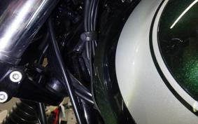 KAWASAKI W800 2020 EJ800B