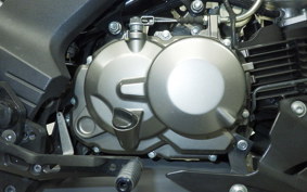 KAWASAKI Z125 PRO BR125H