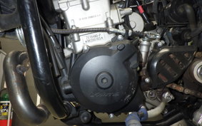 FANTIC SCRAMBLER 500 2020