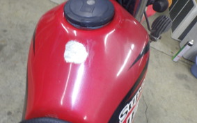 KAWASAKI SUPER SHERPA 2020 KL250G