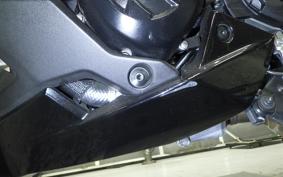 KAWASAKI NINJA 1000 SX 2024 ZXT02K