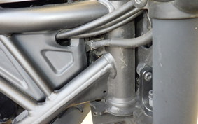 HONDA REBEL 250 S 2021 MC49