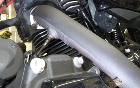 HARLEY FLHRXS 1750 2018