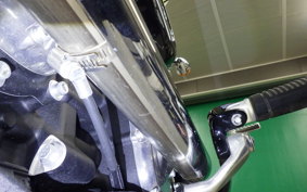HARLEY FXST1750 2024