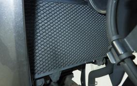 KAWASAKI VERSYS-X 250 A 2021 LE250D