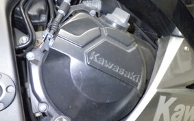 KAWASAKI NINJA 250 ABS EX250L