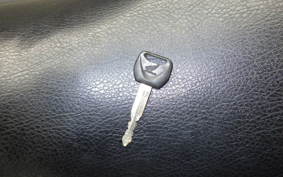 HONDA HORNET 250 2022 MC31