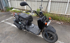 HONDA ZUMAR AF58