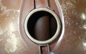 KAWASAKI Z900 2026 Z1F