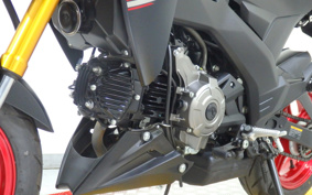 KAWASAKI Z125 PRO BR125H