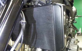 KAWASAKI Z900RS CAFE 2025 ZR900K