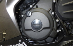 KAWASAKI NINJA 250 2022 EX250P