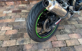 KAWASAKI Ninja 250 SE EX250L
