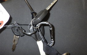 DUCATI 959 PANIGALE CORSE 2019