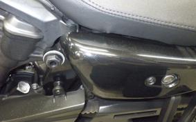 HARLEY RH975S 2024
