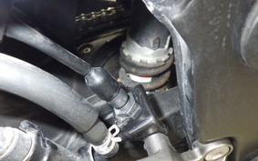 KAWASAKI NINJA 250 2007 EX250L