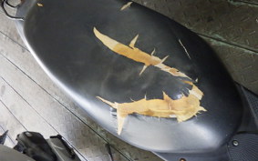 SUZUKI LET's 2 CA1PA