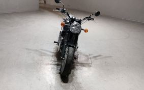 KAWASAKI W800 STREET  2019 EJ800B
