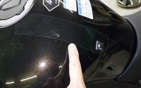 KAWASAKI NINJA 1100SX 2026 ZXT10H