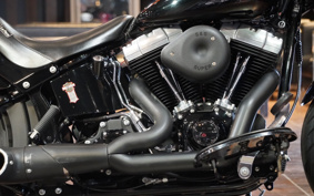 HARLEY FLSTSB 2008 JM5