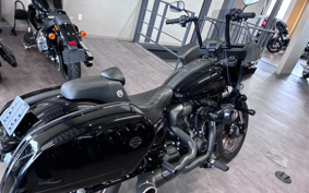 HARLEY FXLRST 2024 YXZ
