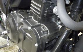 SUZUKI V-STROM 250 A