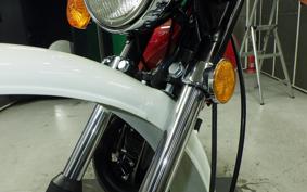 SUZUKI TS250 TS2503