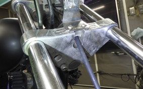 YAMAHA VIRAGO 250 2022 3DM