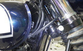 KAWASAKI W800 2016 EJ800A