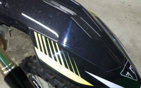 TRIUMPH TF450RC 2021