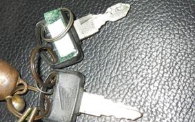 HONDA C50 SUPER CUB E C50