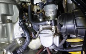 KAWASAKI KDX220SR 2021 DX220B