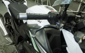 KAWASAKI Z250 2024 ER250C