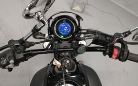 YAMAHA XSR155 RG47