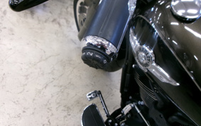 HARLEY FLFBS 2020 YGK