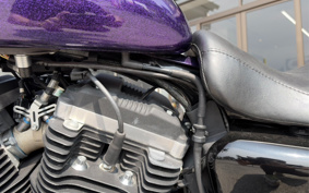 HARLEY XL883N 2014 LE2