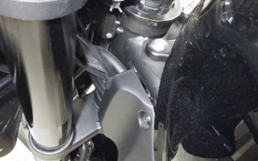 KAWASAKI Z900RS CAFE 2024 ZR900K