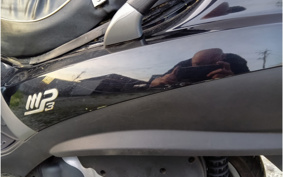 PIAGGIO MP3 250 RL ZAPM47201