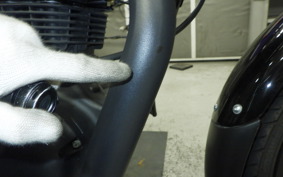 OTHER +ENFIELD HUNTER350 2025