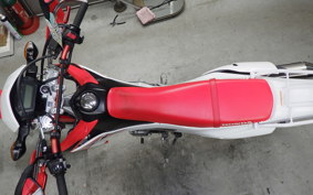 HONDA CRF250L 2010 MD38