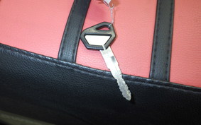 KAWASAKI KLX250D TRACKER X 2021 LX250V