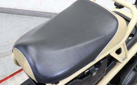 HONDA ZUMAR AF58