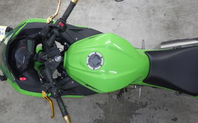 KAWASAKI NINJA 250 EX250L