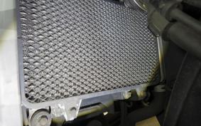 KAWASAKI VERSYS X250Aﾂｱﾗｰ 2022 LE250D