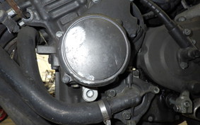 HONDA HORNET 250 MC31