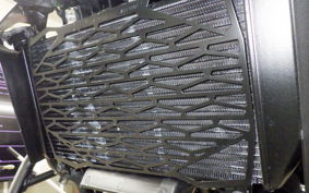 KAWASAKI ELIMINATOR400-3SE 2025 EL400A