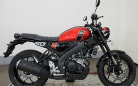 YAMAHA XSR155 RG47
