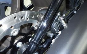 HARLEY FXLRS1870 2021