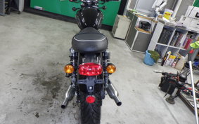 TRIUMPH BONNEVILLE T100 2024